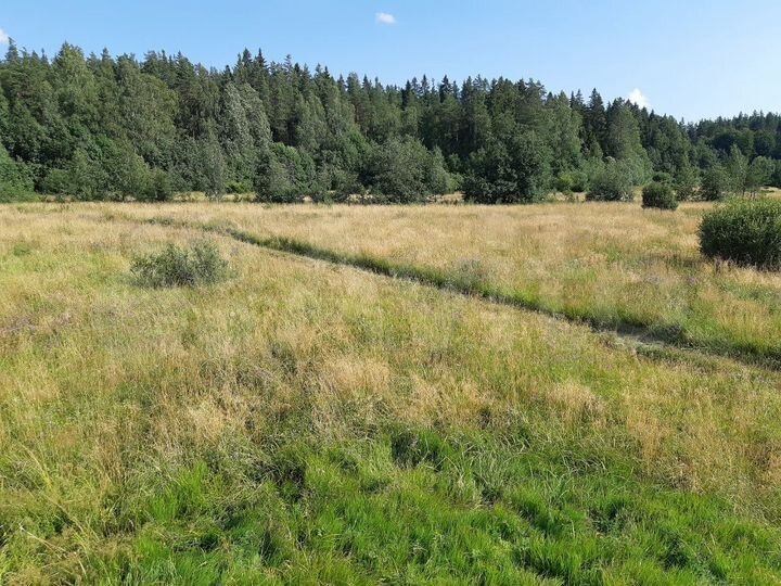 Участок 1,8 га (СНТ, ДНП)