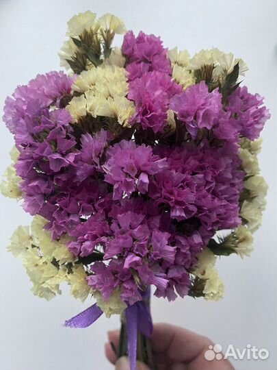 Мини букеты из статицы сухоцвет