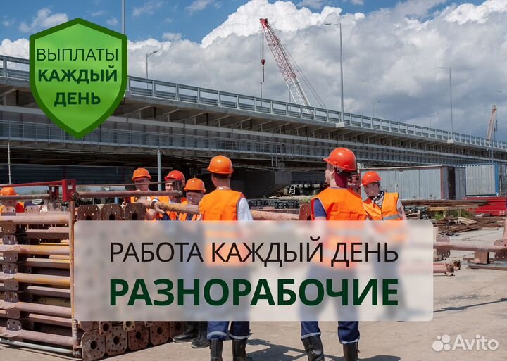 Разнорабочий в ночь. Ежедневные выплаты