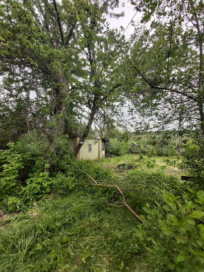 Дача 20 м² на участке 6,5 сот.