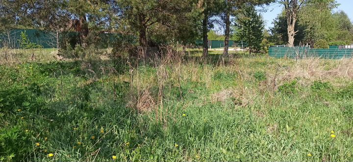 Участок 15 сот. (ИЖС)