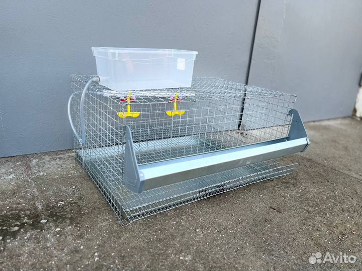 Клетка для перепелов на 30 голов