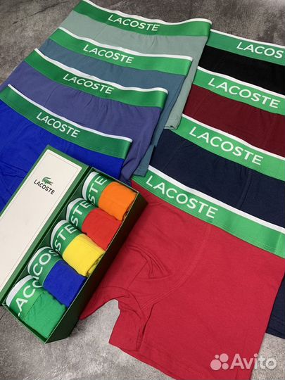 Трусы мужские lacoste 23 февраля