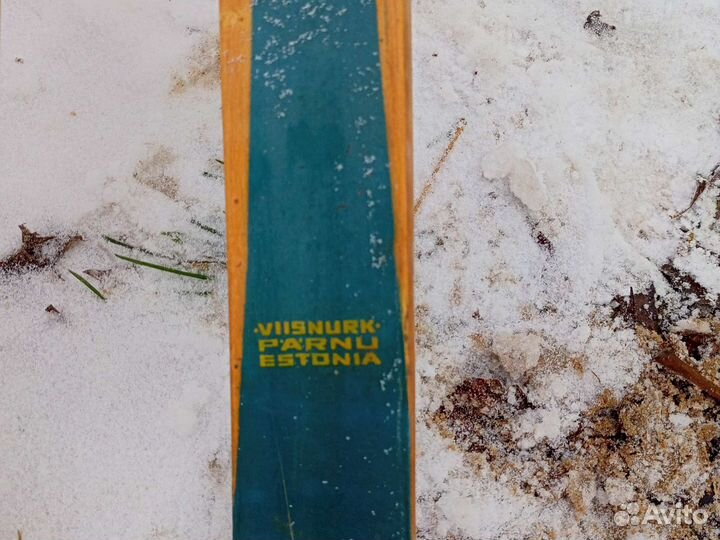 Беговые лыжи