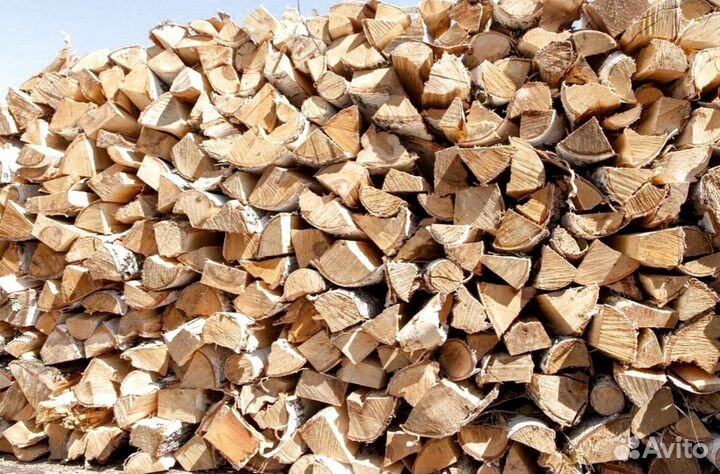 Дрова в область