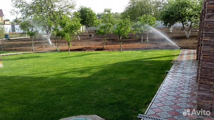 Продажа Рулонного газона, производитель