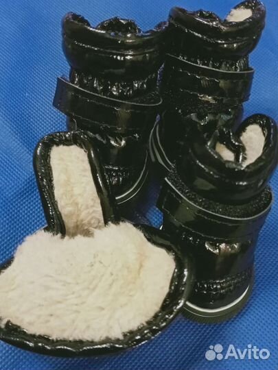 Ботинки для маленькой собаки