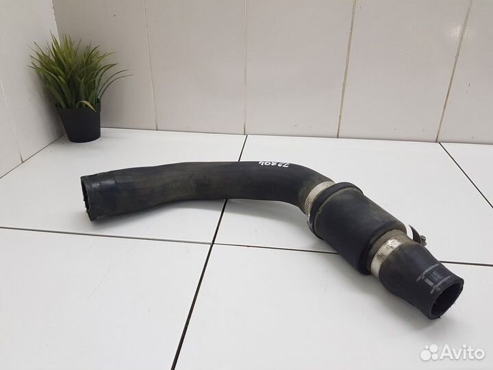 Патрубок интеркулера (Ford Transit viii)