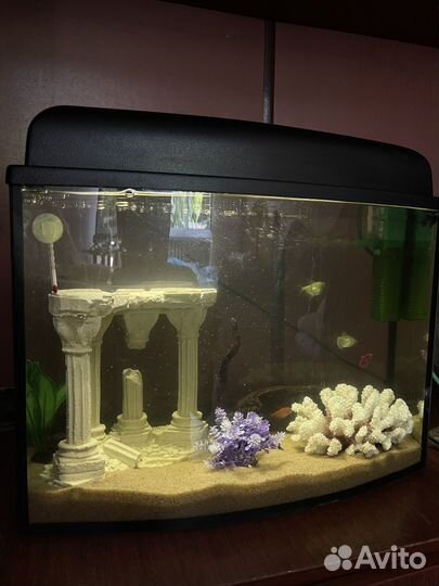 Аквариум