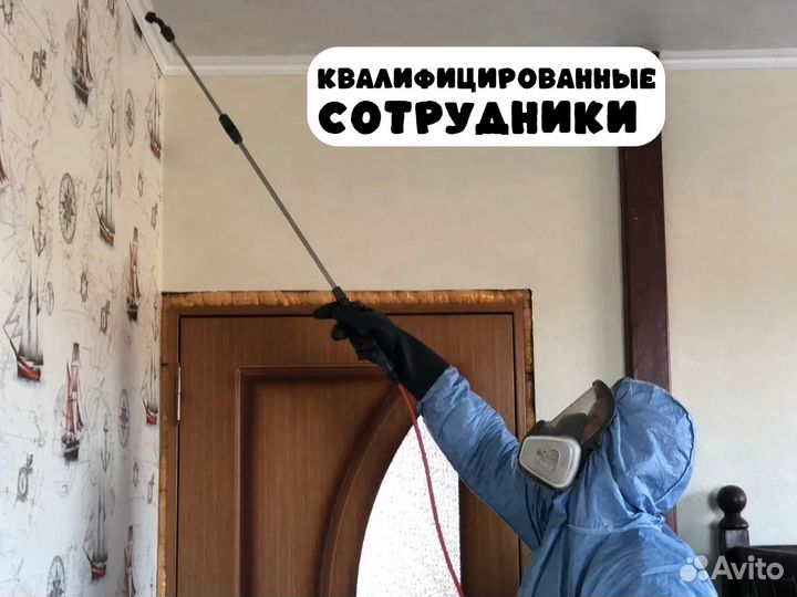 Дезинфекция, Дезинсекция в Лесосибирске