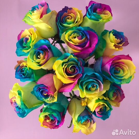 Коробочка с радужными розами. Цветы. Букет