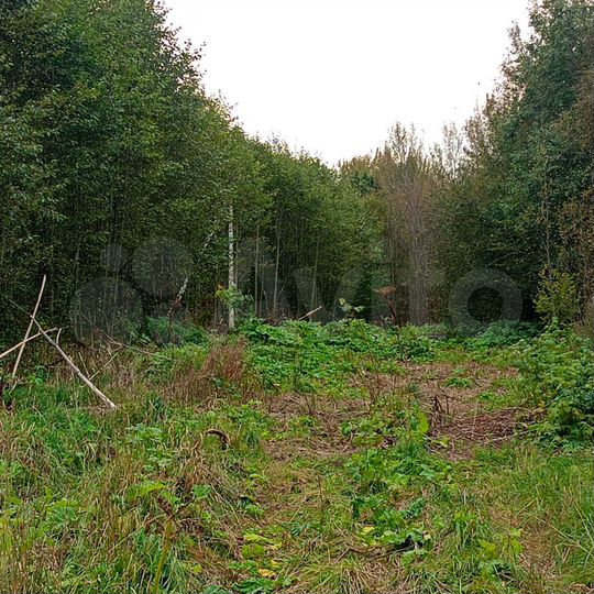 Участок 5 га (СНТ, ДНП)