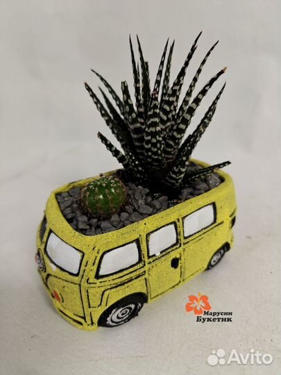 Флорариумы с живыми растениями