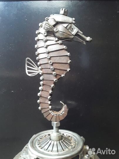 Морской конек