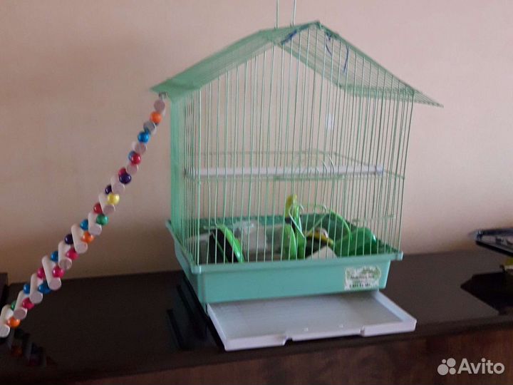 Клетка с аксессуарами для питомцев