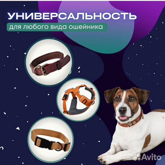 Поводок для собак