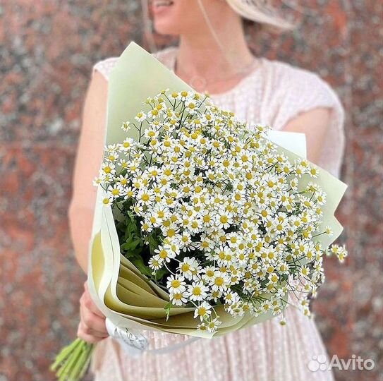 Цветы ромашки. Букеты ромашек. Цветы доставка