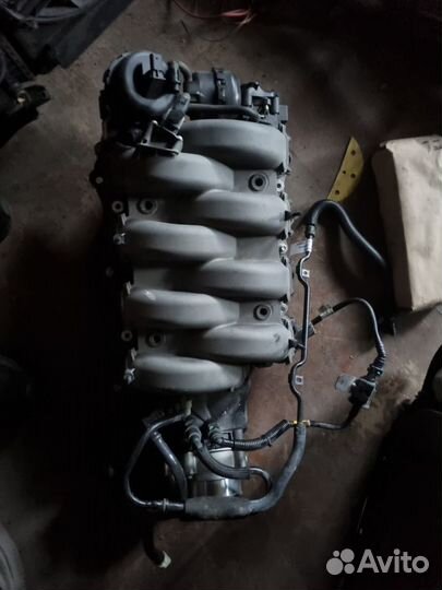 Впускной коллектор Ford Mustang 5.0 2020 г
