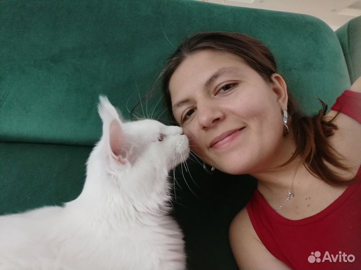 Догситтер/выгул собак/зооняня