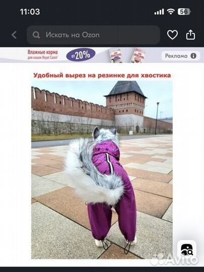 Комбинезон дождевик для собак размер L