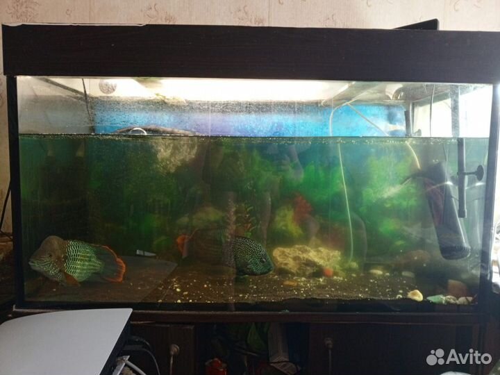 Аквариум с тумбой 240л