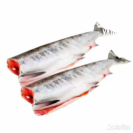 Кета дикая б/г с/м Чебоксары