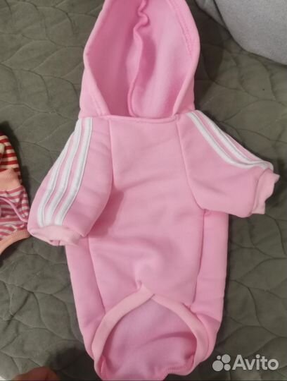 Одежда для собак