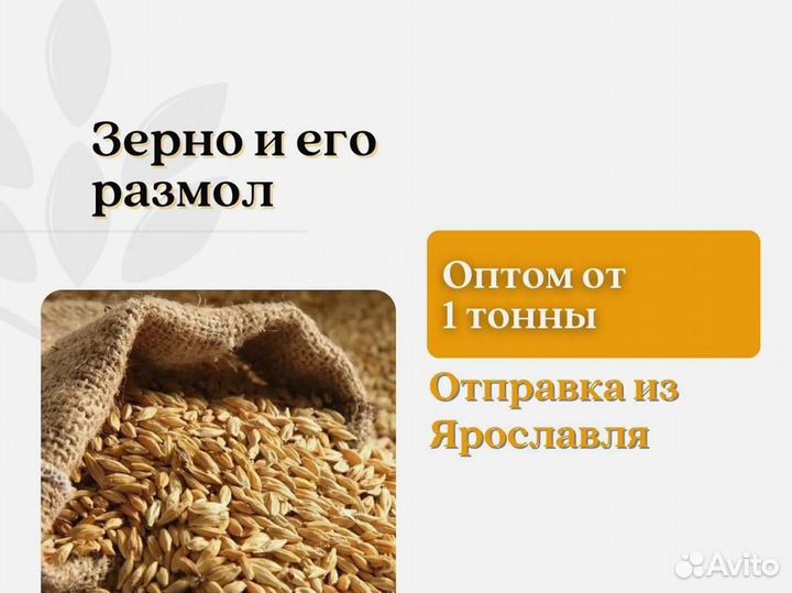 Пшеница Зерно (кг)