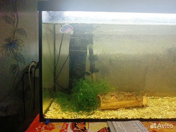 Аквариум со всем содержимым