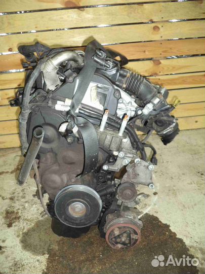 Двигатель Ford 1.6 G8DA