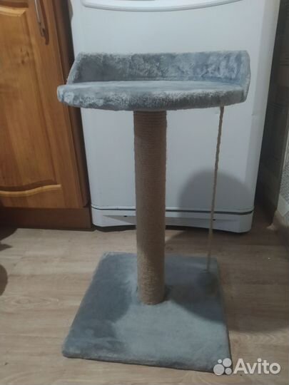 Когтеточка