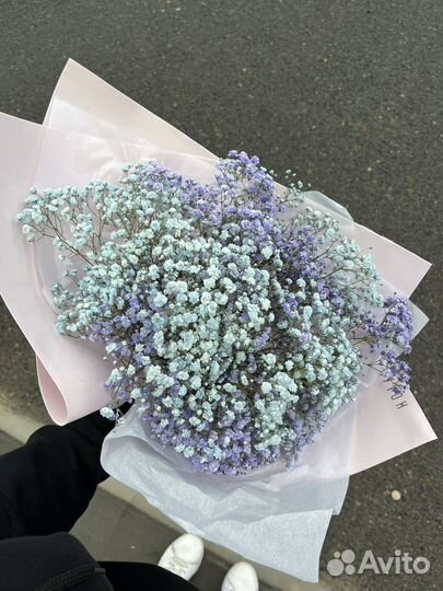 Цветная гипсофила, букет гипсофилы