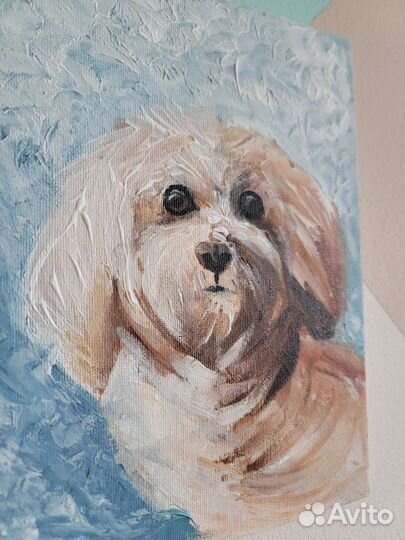 Картина акрилом Болонка