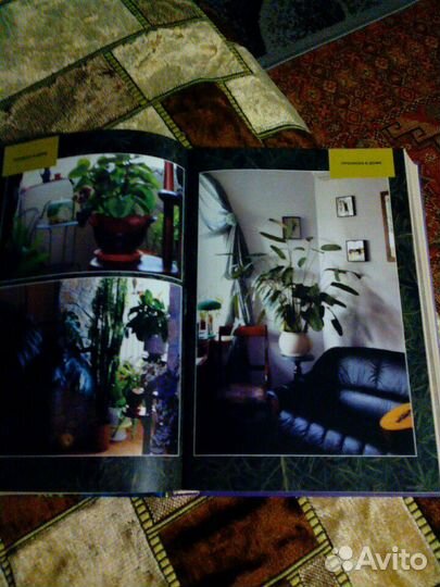 Энциклопедия растений