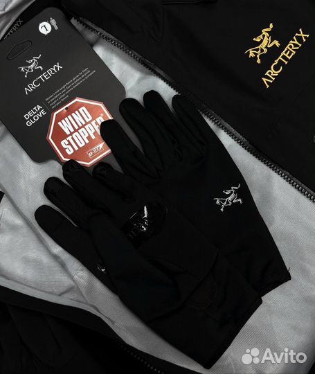 Перчатки Arcteryx Delta Glove Gore-Tex