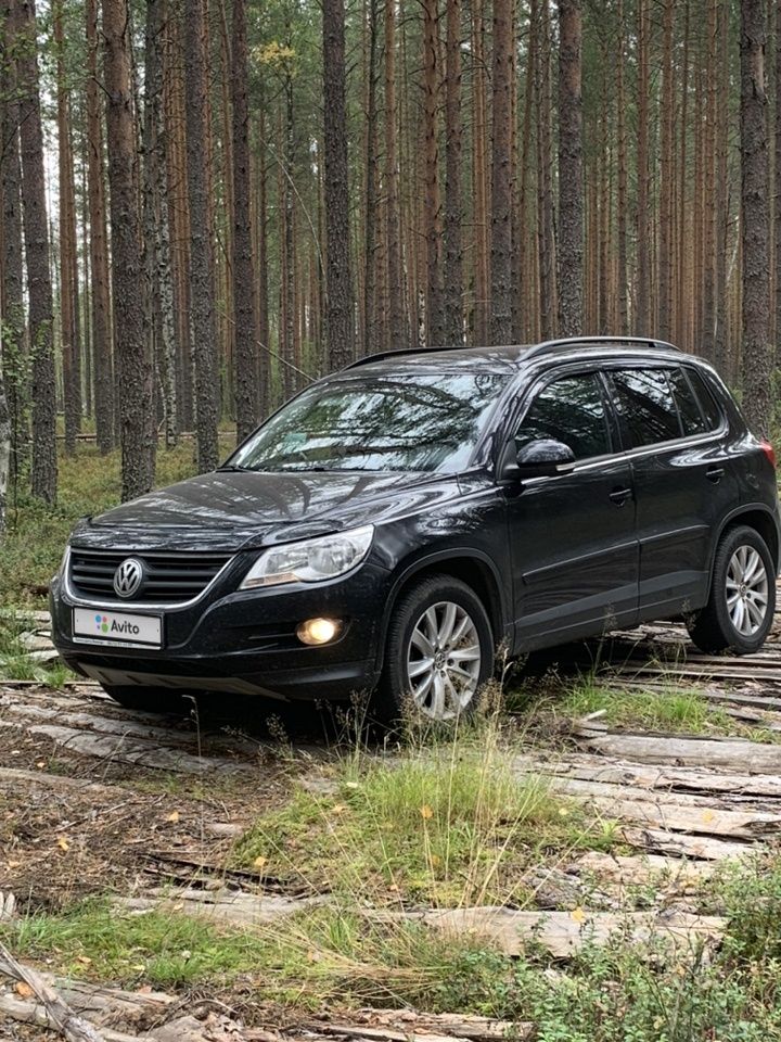 Volkswagen Tiguan: фото владельца