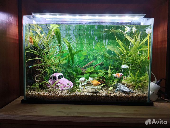 Обслуживание аквариумов/аквариум под ключ