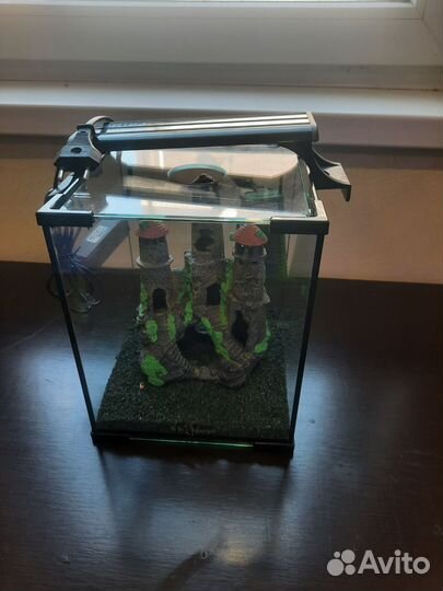 Аквариум