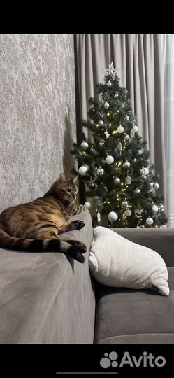 Ель искуственная