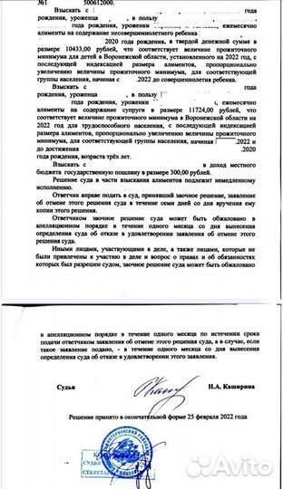 Судебный юрист, обжалование, иски, приказы