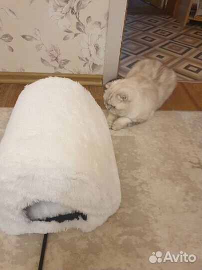 Домик для кошки новый