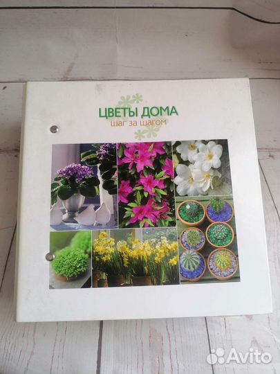 Энциклопедия Цветы дома шаг за шагом