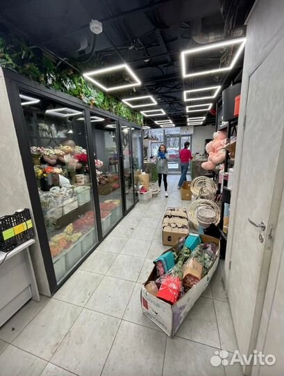 Тюльпаны опт и розница