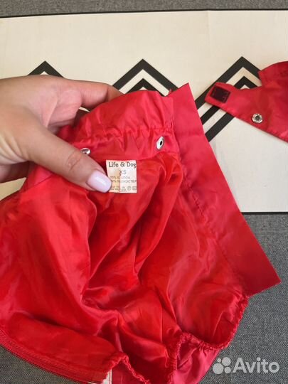 Комбинезон на мини той терьера