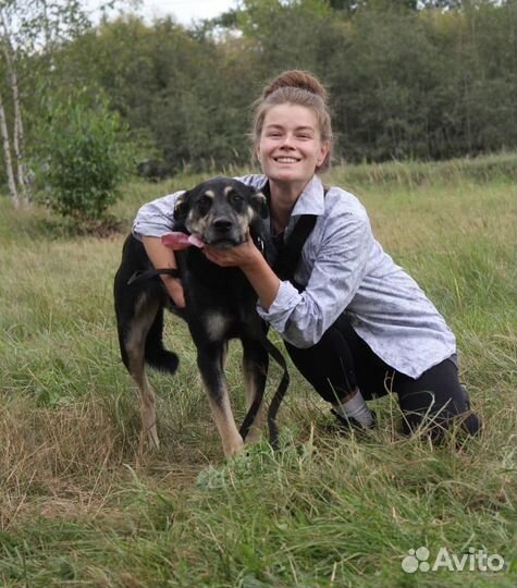 Спасите собаку из приюта