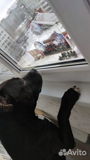 Кормушка на окно из оргстекла