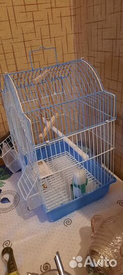 Клетка для. Волнистый попугай