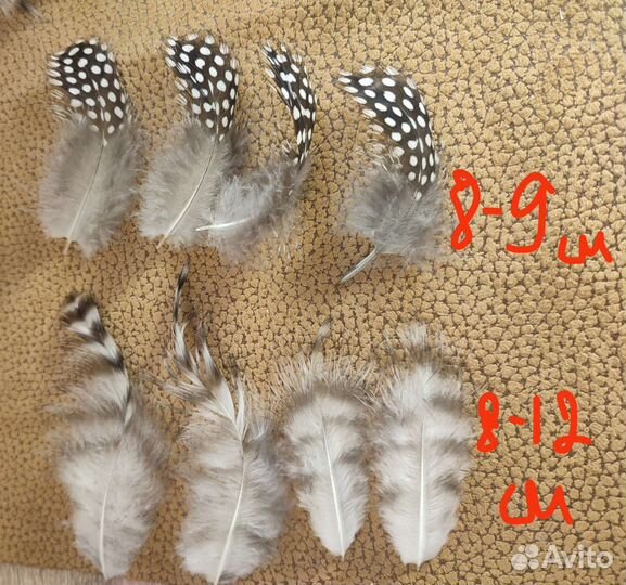 Перья набор для творчества