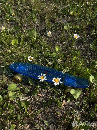 Пениборд светящийся