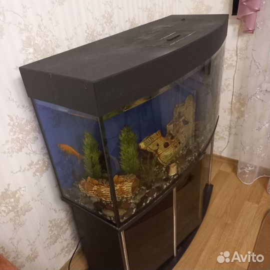 Аквариум с тумбой 240л